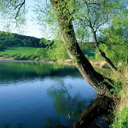 Vulkaneifel * Daun